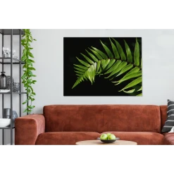 MuchoWow Tableau Sur Toile Gros Plan D'une Feuille De Fougère Sur Un Fond Noir... -Dekliktableau Magasin tableau sur toile gros plan dune feuille de fougere sur un fond noir decoration murale 120x90 cm 12459260 33244934 1140x1140