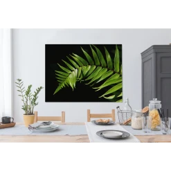 MuchoWow Tableau Sur Toile Gros Plan D'une Feuille De Fougère Sur Un Fond Noir... -Dekliktableau Magasin tableau sur toile gros plan dune feuille de fougere sur un fond noir decoration murale 120x90 cm 12459260 33244936 1140x1140