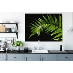 MuchoWow Tableau Sur Toile Gros Plan D'une Feuille De Fougère Sur Un Fond Noir... -Dekliktableau Magasin tableau sur toile gros plan dune feuille de fougere sur un fond noir decoration murale 120x90 cm 12459260 33244938 1140x1140