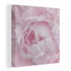 MuchoWow Tableau Sur Toile Gros Plan Et Vue De Dessus D'une Pivoine Rose Decora...