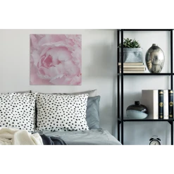 MuchoWow Tableau Sur Toile Gros Plan Et Vue De Dessus D'une Pivoine Rose Decora... -Dekliktableau Magasin tableau sur toile gros plan et vue de dessus dune pivoine rose decoration murale 50x50 cm 12459146 33244612 1140x1140