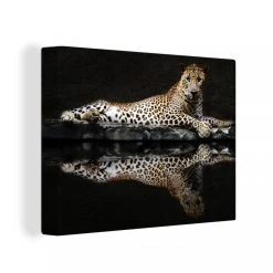 MuchoWow Tableau Sur Toile Léopard - Eau - Forêt Decoration Murale 120x90 Cm