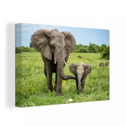 MuchoWow Tableau Sur Toile Éléphant - Nature - Parc Decoration Murale 60x40 C...