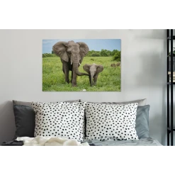 MuchoWow Tableau Sur Toile Éléphant - Nature - Parc Decoration Murale 60x40 C... -Dekliktableau Magasin tableau sur toile lephant nature parc decoration murale 60x40 cm 12479348 33307088 1140x1140