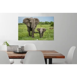 MuchoWow Tableau Sur Toile Éléphant - Nature - Parc Decoration Murale 60x40 C... -Dekliktableau Magasin tableau sur toile lephant nature parc decoration murale 60x40 cm 12479348 33307090 1140x1140