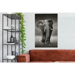 MuchoWow Tableau Sur Toile Éléphant - Noir - Blanc - Namibie Decoration Mural... -Dekliktableau Magasin tableau sur toile lephant noir blanc namibie decoration murale 90x140 cm 12465544 33264126 1140x1140
