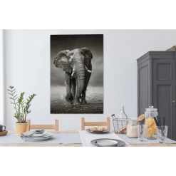 MuchoWow Tableau Sur Toile Éléphant - Noir - Blanc - Namibie Decoration Mural... -Dekliktableau Magasin tableau sur toile lephant noir blanc namibie decoration murale 90x140 cm 12465544 33264128 1140x1140