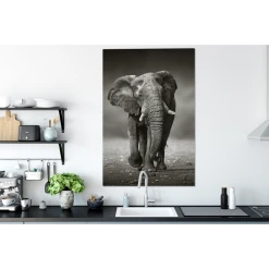 MuchoWow Tableau Sur Toile Éléphant - Noir - Blanc - Namibie Decoration Mural... -Dekliktableau Magasin tableau sur toile lephant noir blanc namibie decoration murale 90x140 cm 12465544 33264130 1140x1140