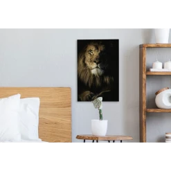 MuchoWow Tableau Sur Toile Lion - Lumière - Noir Decoration Murale 20x30 Cm -Dekliktableau Magasin tableau sur toile lion lumiere noir decoration murale 20x30 cm 12471456 33282466 1140x1140