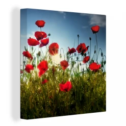 MuchoWow Tableau Sur Toile Longs Coquelicots Rouges En Toscane Par Une Journée...