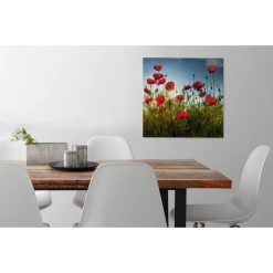 MuchoWow Tableau Sur Toile Longs Coquelicots Rouges En Toscane Par Une Journée... -Dekliktableau Magasin tableau sur toile longs coquelicots rouges en toscane par une journee ensoleillee decoration murale 50x50 cm 12439766 33186062 1140x1140
