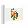MuchoWow Tableau Sur Toile Orange - Feuille - Plante Decoration Murale 90x60 Cm