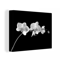 MuchoWow Tableau Sur Toile Orchidée Sur Fond Noir - Noir Et Blanc Decoration M...