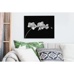 MuchoWow Tableau Sur Toile Orchidée Sur Fond Noir - Noir Et Blanc Decoration M... -Dekliktableau Magasin tableau sur toile orchidee sur fond noir noir et blanc decoration murale 40x30 cm 12445950 33204894 1140x1140