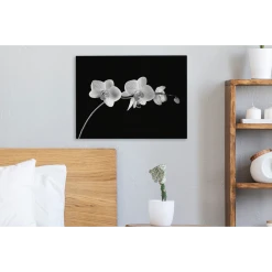 MuchoWow Tableau Sur Toile Orchidée Sur Fond Noir - Noir Et Blanc Decoration M... -Dekliktableau Magasin tableau sur toile orchidee sur fond noir noir et blanc decoration murale 40x30 cm 12445950 33204896 1140x1140