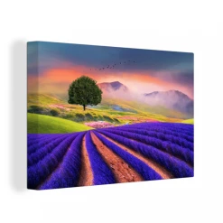 MuchoWow Tableau Sur Toile Peinture D'un Champ De Lavande Decoration Murale 30x...