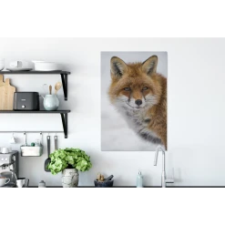 MuchoWow Tableau Sur Toile Renard - Portrait - Neige Decoration Murale 40x60 Cm -Dekliktableau Magasin tableau sur toile renard portrait neige decoration murale 40x60 cm 12437932 33180330 1140x1140