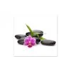 DECLIKTABLEAU Tableau Zen Galets Et Petite Fleur Rose 60X60 Cm