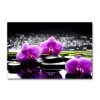 DECLIKTABLEAU Tableau Zen Orchidée Rose Et Bougies Sur Galets L.80 X H.55 Cm