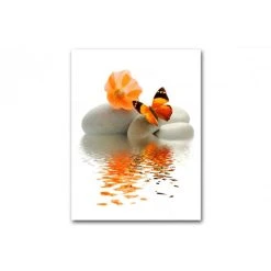 DECLIKTABLEAU Tableau Zen Papillon Orange Sur Galet L.55 X H.80 Cm