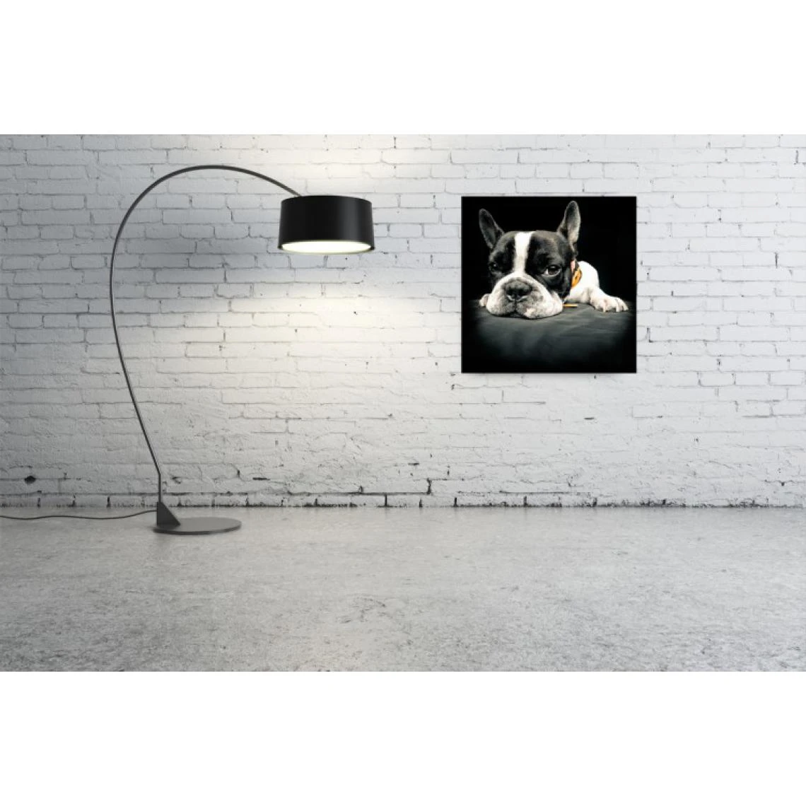 DECLIKTABLEAU Tableau Animaux Chien Bulldog Relax 80X80 Cm 2 DECLIKTABLEAU Tableau Animaux Chien Bulldog Relax 80X80 Cm – Image 2