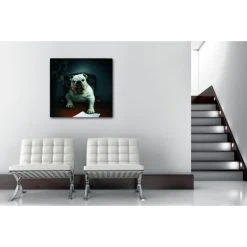 DECLIKTABLEAU Tableau Animaux Chien Bulldog Avec Cigare 80X80 Cm 5 DECLIKTABLEAU Tableau Animaux Chien Bulldog Avec Cigare 80X80 Cm -Dekliktableau Magasin tableaux animaux multicolore tableaux design 11805 1140x1140 1