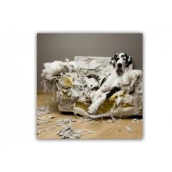 DECLIKTABLEAU Tableau Animaux Dalmatien Sur Fauteuil 60X60 Cm -Dekliktableau Magasin tableaux animaux noirblancbeige tableaux design 13255 1140x1140 1
