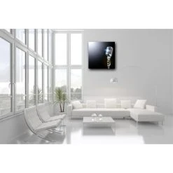 DECLIKTABLEAU Tableau Disco Micro Chromé 80X80 Cm -Dekliktableau Magasin tableaux pop art bicolore tableaux design 11337 1140x1140 1